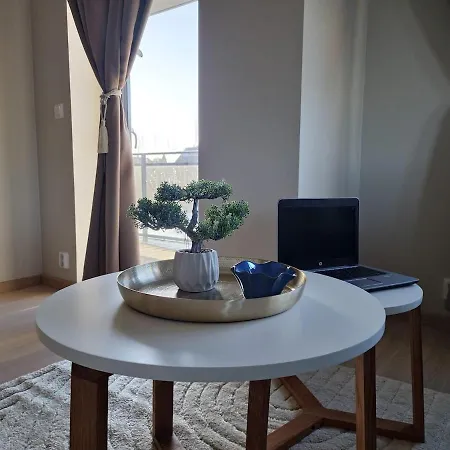Location Near And Oslo Airport 公寓