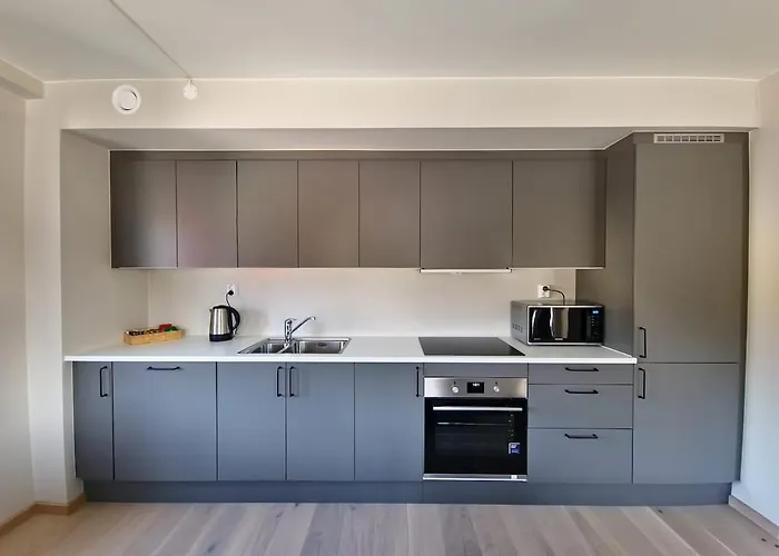 Apartment Location Near And Oslo Airport Lillestrom